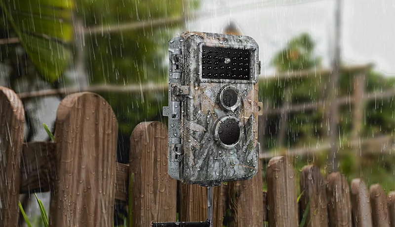 Best Trail Camera for Security