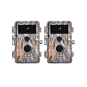 BlazeVideo BVDLXJGRAY