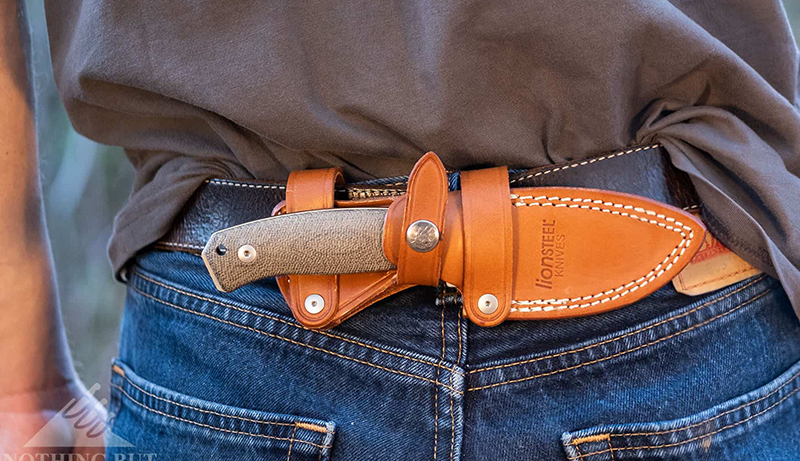 Best Concealed Carry Fixed Blade Knives in 2025