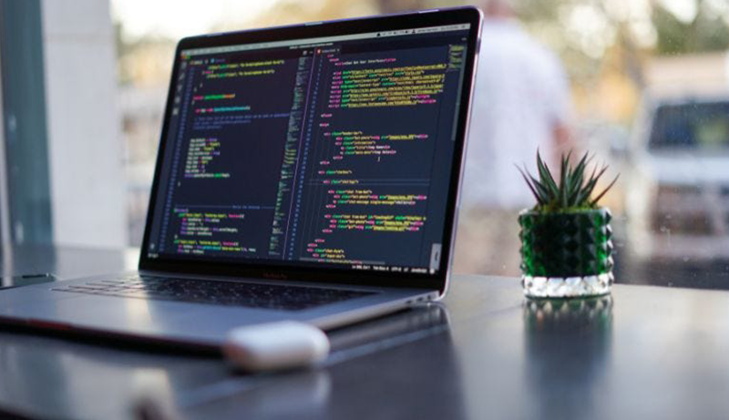 10 Best Laptops for Programming and Gaming in 2026